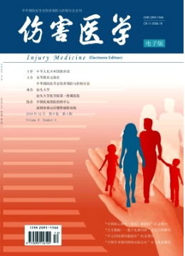 《伤害医学杂志》