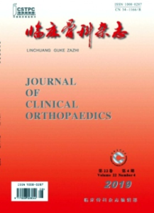 《临床骨科杂志》