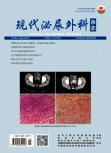 《现代泌尿外科杂志》