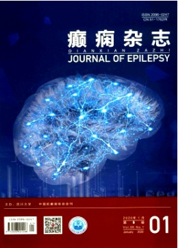 《癫痫杂志》