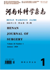 《河南外科学杂志》