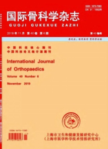 《国际骨科学杂志》