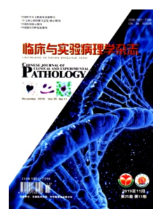 《临床与实验病理学杂志》